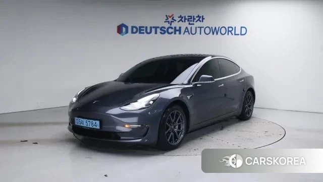 Tesla Model 3 2019 Серый из Кореи