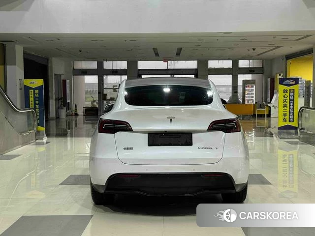 Tesla Model Y 2022 Белый из Китая