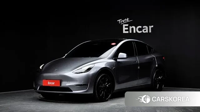 Tesla Model Y 2024 Серый из Кореи