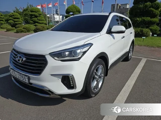 Hyundai The New Max Cruise 2018 Белый из Кореи