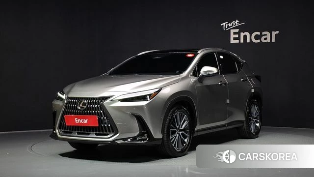 Lexus NX350h Second generation 2025 Серебристо-серый из Кореи