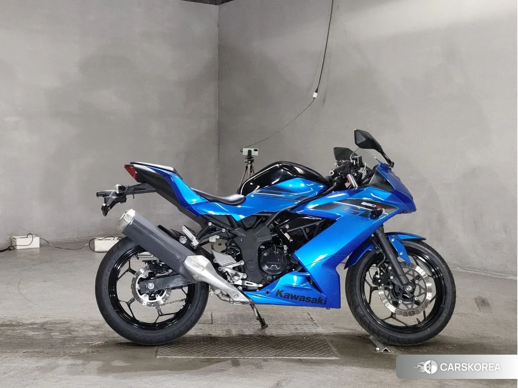 Проданный Kawasaki NINJA 250SL 2015 из Японии
