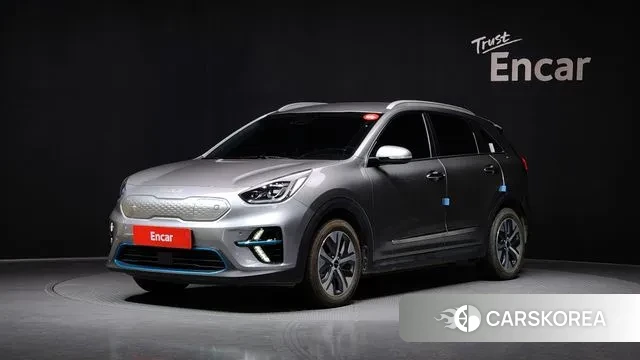 Kia Niro EV 2021 Серый из Кореи