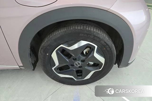 BYD dolphin 2023 Другой из Китая