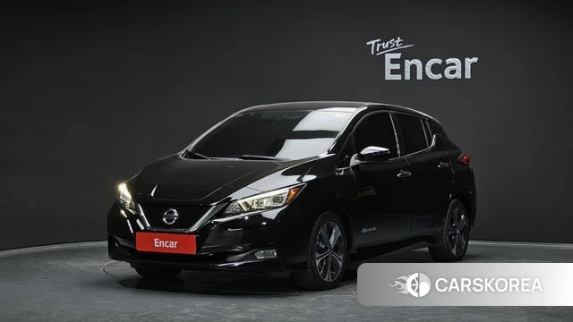 Nissan Leaf (ZE1) 2019 Черный из Кореи