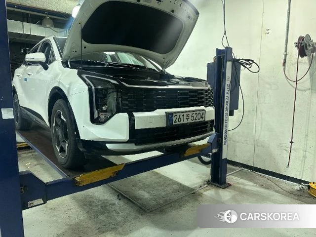 Kia The New Sportage 5th Generation 2025 Белый из Кореи