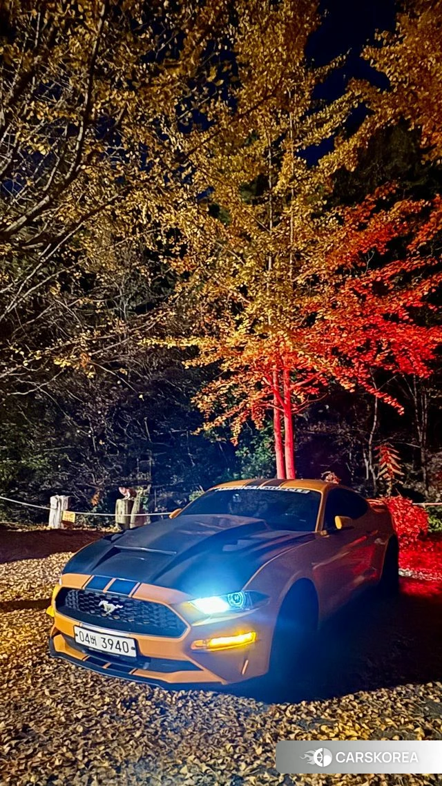 Ford Mustang 2018 Оранжевый из Кореи
