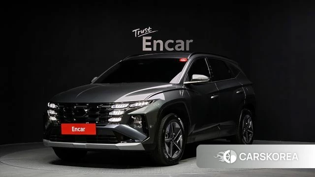 Hyundai The New Tucson (NX4) 2024 Цвет тростника из Кореи
