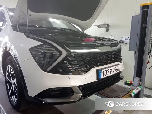 Kia Sportage 5th Generation Hybrid 2024 Белый из Кореи