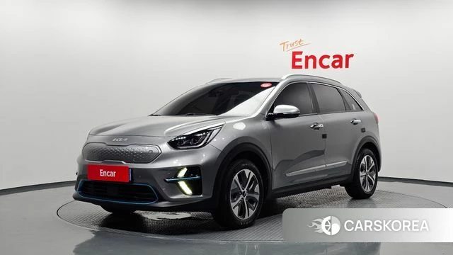 Kia Niro EV 2021 Серый из Кореи
