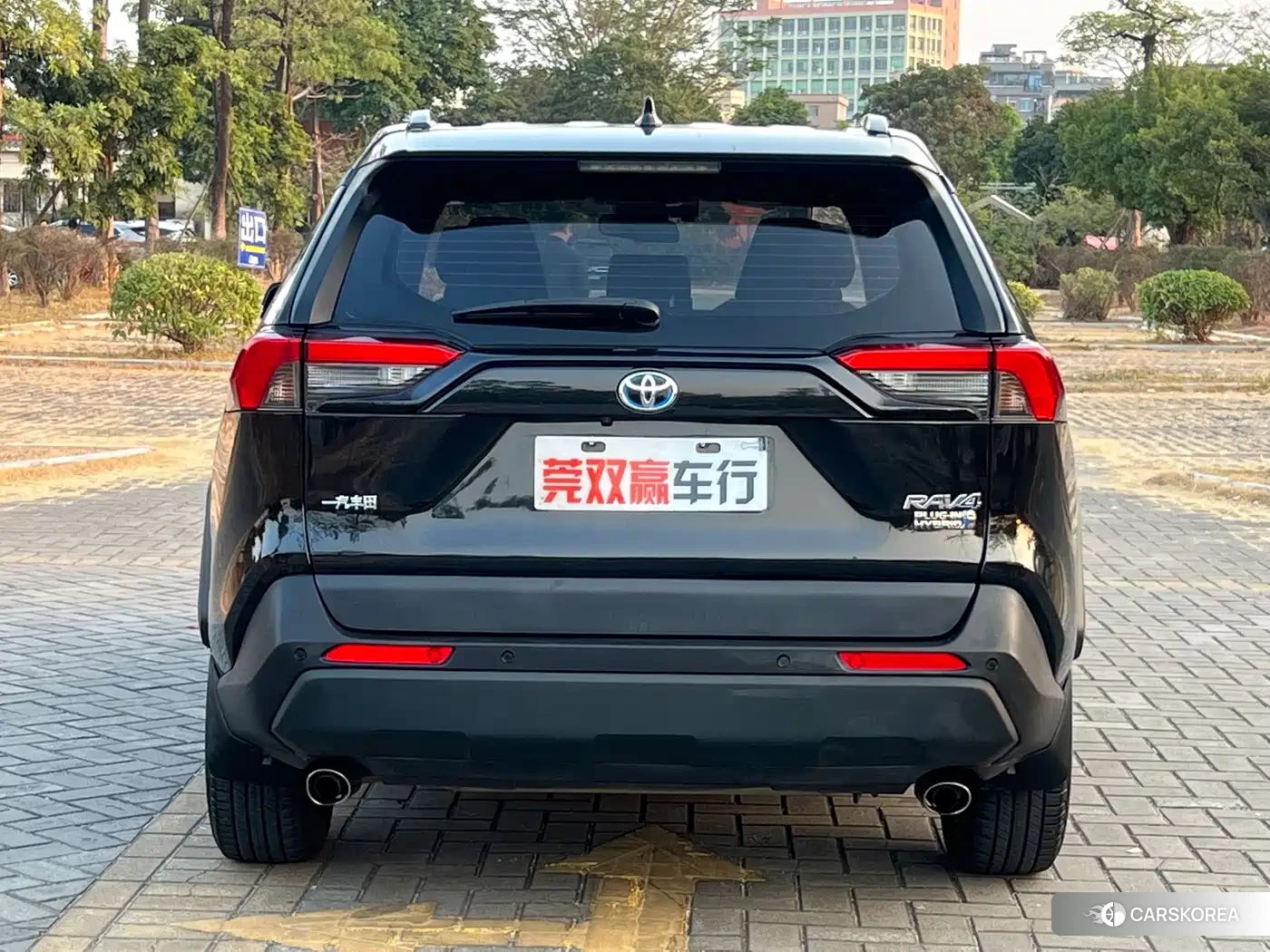 Toyota RAV4 Rongfang Dual Engine E+ 2022 Черный из Китая
