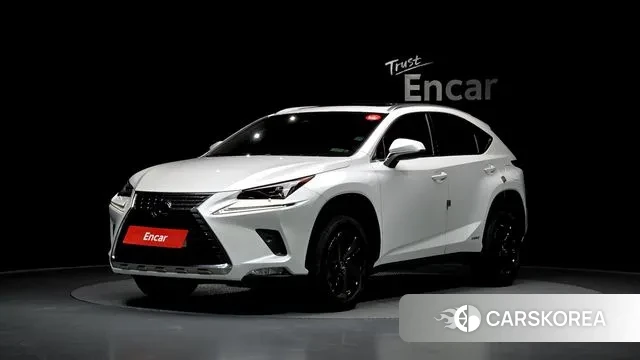 Lexus NX300h 2020 Белый из Кореи