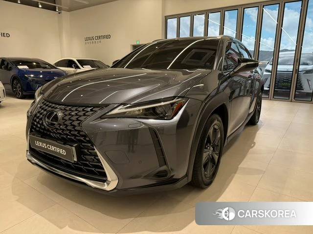 Lexus UX300h 2025 Серый из Кореи