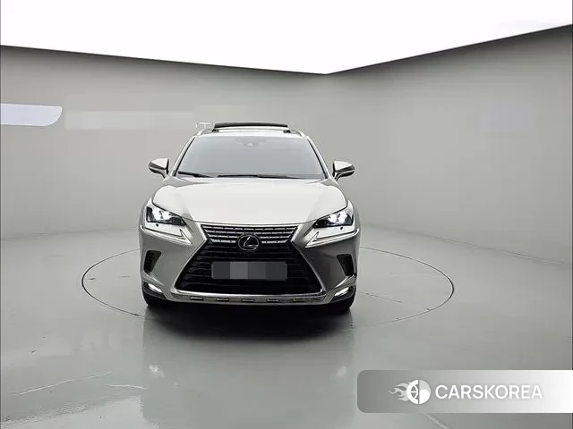 Lexus NX300h 2021 Серый из Кореи