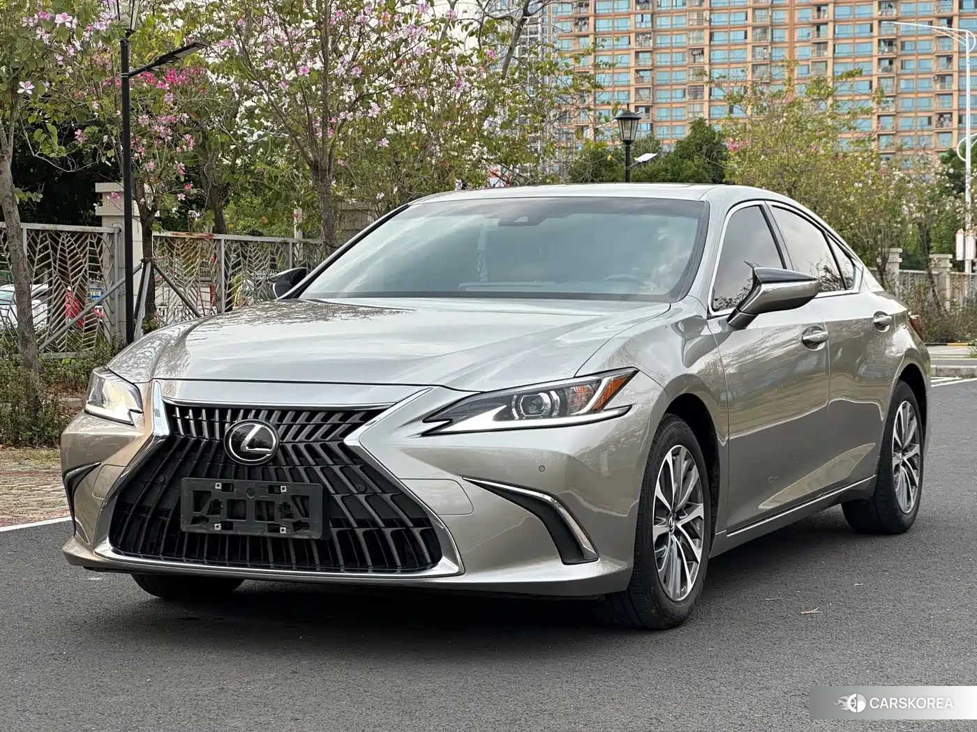 Lexus ES 2023 Silver/gray из Китая