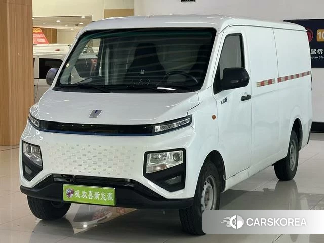 Remote car Remote Star Enjoy V 2023 Белый из Китая