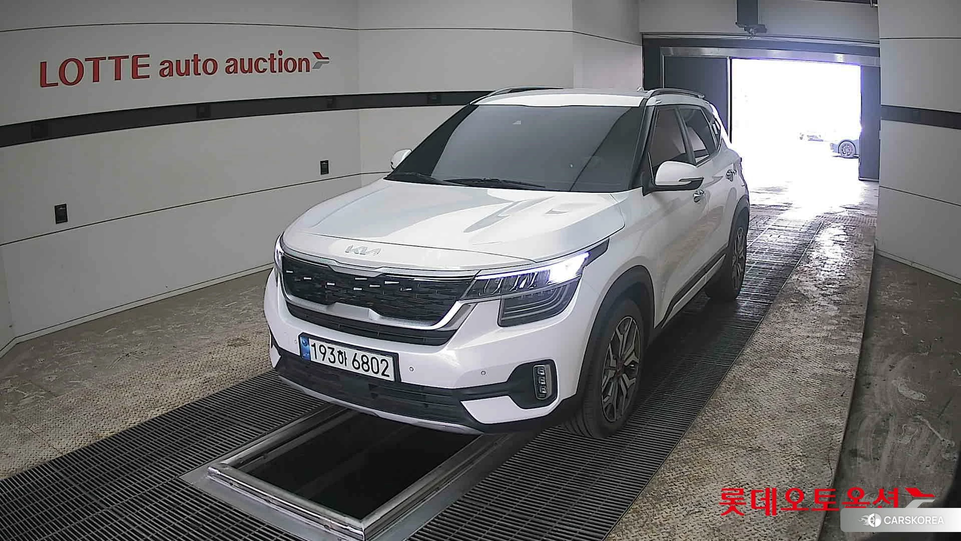 Kia Seltos 2022 Snow White Pearl из Кореи