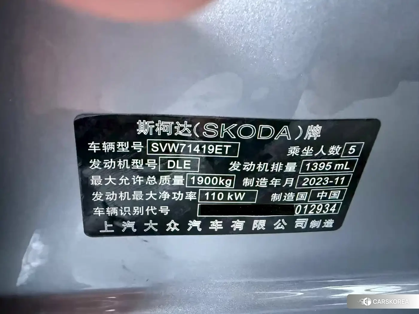 Skoda Speed pie 2023 Silver/gray из Китая