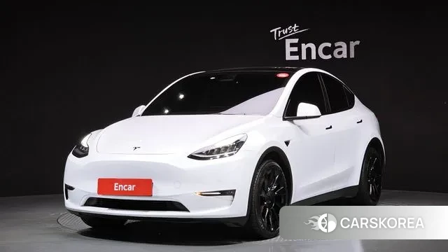 Tesla Model Y 2021 Белый из Кореи