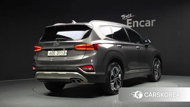 Hyundai Santa Fe TM 2019 Цвет тростника из Кореи