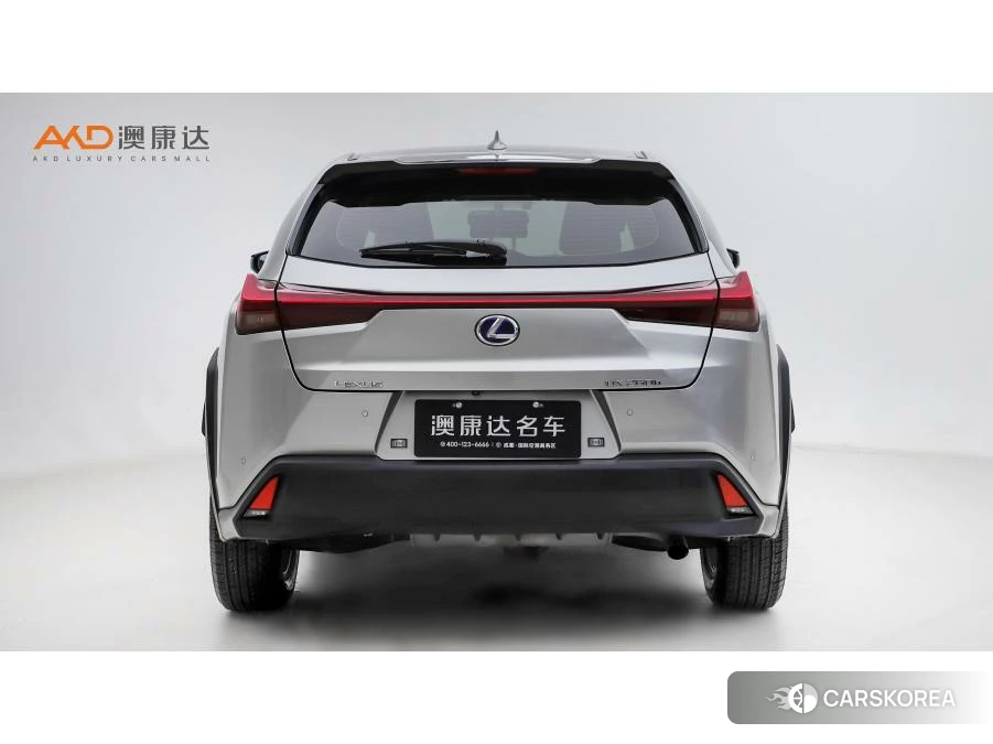 Lexus UX 2019 Серебристо-серый из Китая