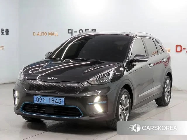 Kia Niro EV 2021 Серый из Кореи