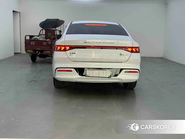 BYD Qin PLUS EV 2023 Белый из Китая