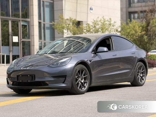 Tesla Model 3 2021 Темно-серый из Китая