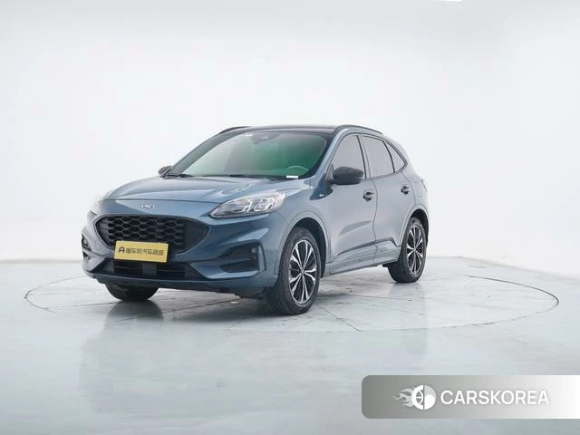 Ford Ruiji 2021 Синий из Китая