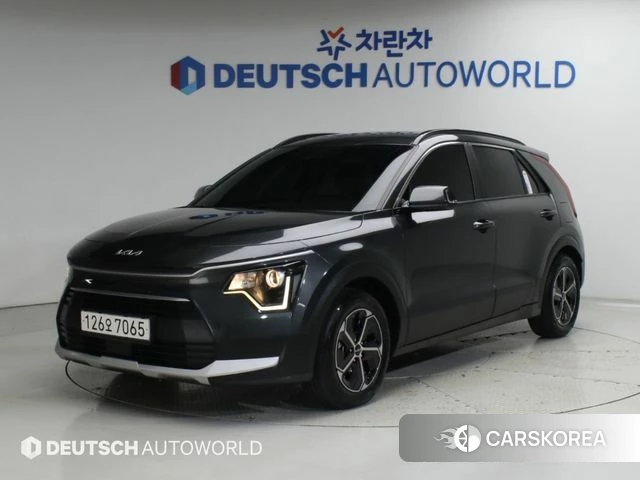 Kia Di Ol Nu Niro 2024 Серый из Кореи