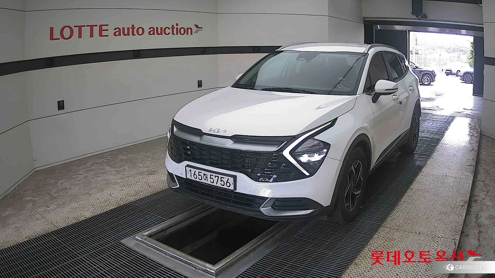 Kia Sportage 2022 Snow White Pearl (optional) из Кореи