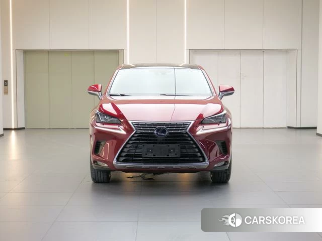 Lexus NX 2020 Красный из Китая