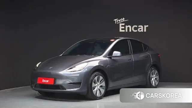 Tesla Model Y 2023 Серый из Кореи
