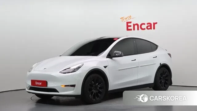 Tesla Model Y 2021 Белый из Кореи