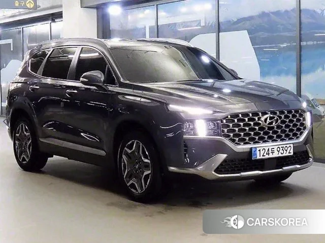 Hyundai The New Santa Fe 2022 Синий из Кореи