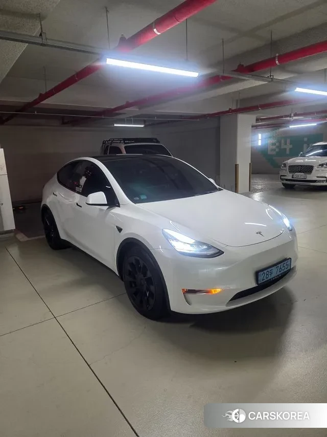 Tesla Model Y 2021 Белый из Кореи