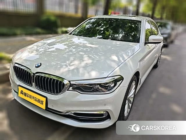 BMW 5 series PHEV 2020 Белый из Китая