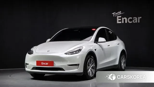 Tesla Model Y 2022 Белый из Кореи