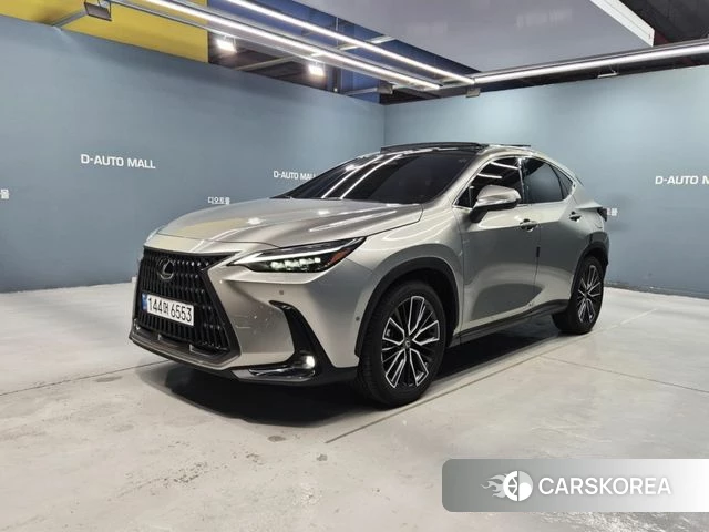 Lexus NX350h Second generation 2024 Песочный из Кореи