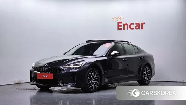 Kia Stinger 2019 Серый из Кореи