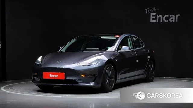 Tesla Model 3 2020 Серый из Кореи