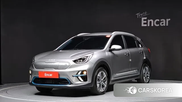 Kia Niro EV 2021 Серый из Кореи