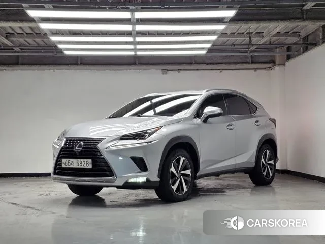 Lexus NX300h 2018 Серебряный из Кореи