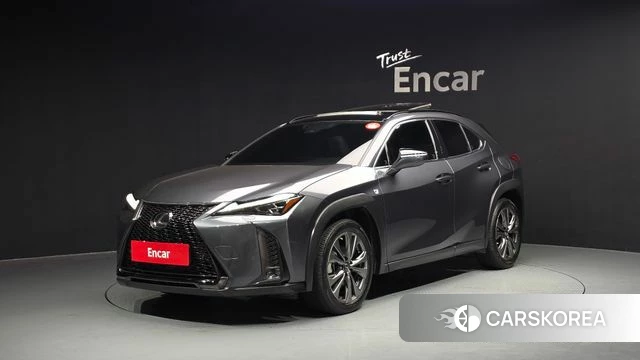 Lexus UX250h 2023 Серый из Кореи