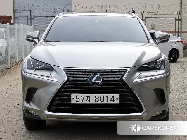 Lexus NX300h 2019 Серый из Кореи