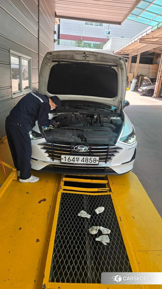Hyundai Sonata (DN8) 2020 Белый из Кореи