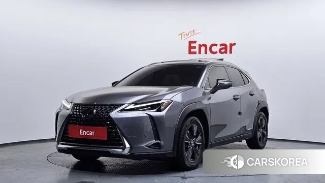 Lexus UX250h 2019 Серый из Кореи