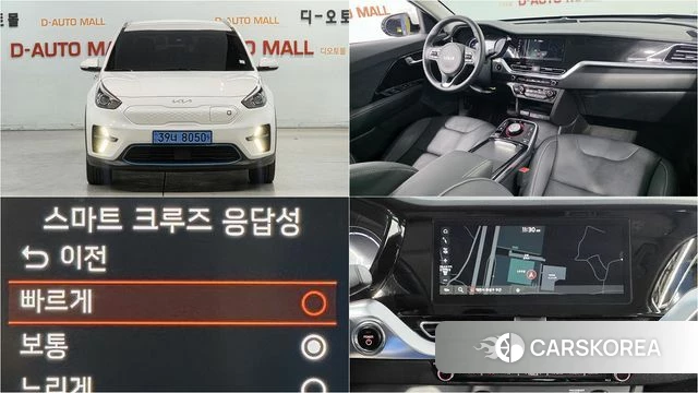 Kia Niro EV 2021 Белый из Кореи