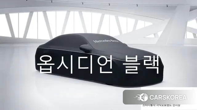 Mercedes-Benz C-Class W206 2024 Черный из Кореи