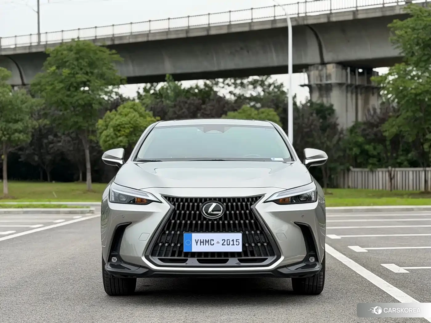 Lexus NX 2022 Silver/gray из Китая